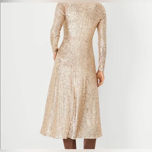 ⭐️Ann Taylor Sequins Dress 0P NWT⭐️ - Picture 8 of 11